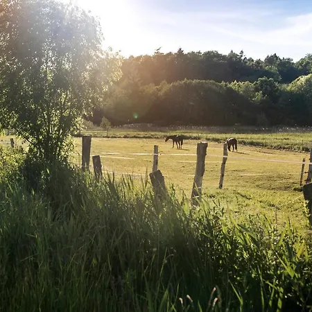 De Ole School Ferienapartments Loft-apartment 18 , Huus Meven Daire Hohwacht